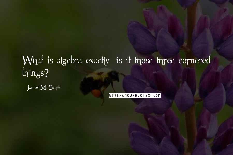 James M. Barrie Quotes: What is algebra exactly; is it those three-cornered things?