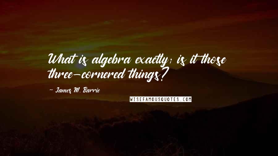 James M. Barrie Quotes: What is algebra exactly; is it those three-cornered things?