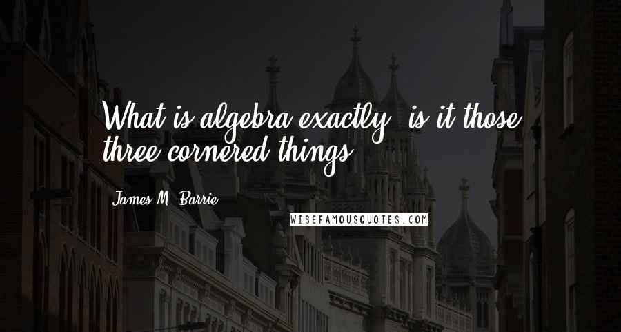 James M. Barrie Quotes: What is algebra exactly; is it those three-cornered things?