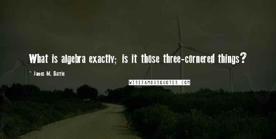 James M. Barrie Quotes: What is algebra exactly; is it those three-cornered things?