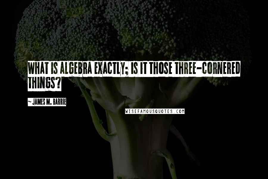 James M. Barrie Quotes: What is algebra exactly; is it those three-cornered things?