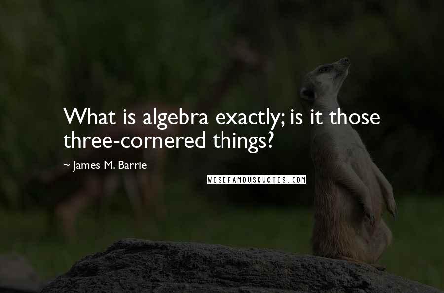 James M. Barrie Quotes: What is algebra exactly; is it those three-cornered things?