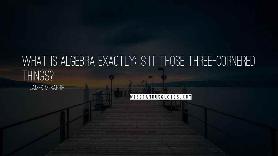 James M. Barrie Quotes: What is algebra exactly; is it those three-cornered things?