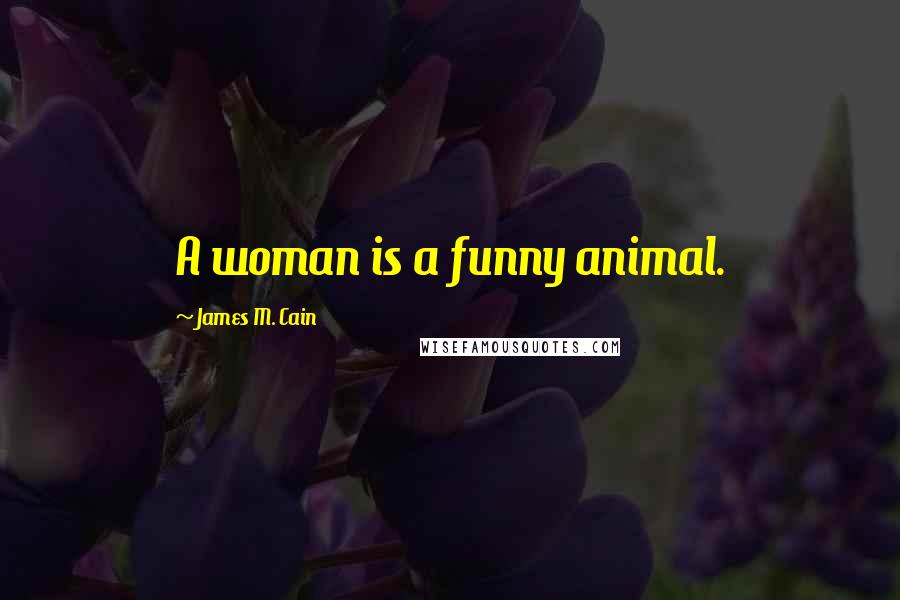 James M. Cain Quotes: A woman is a funny animal.