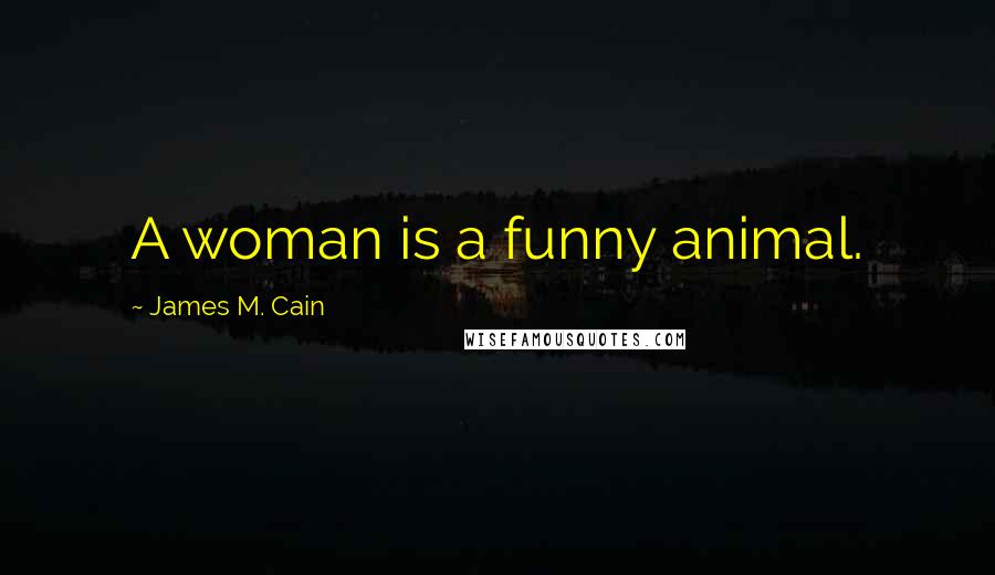 James M. Cain Quotes: A woman is a funny animal.