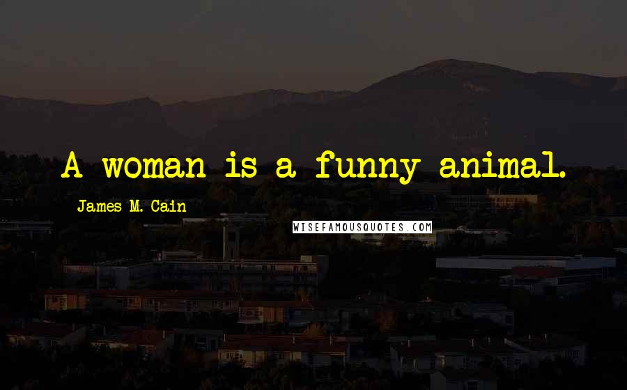 James M. Cain Quotes: A woman is a funny animal.