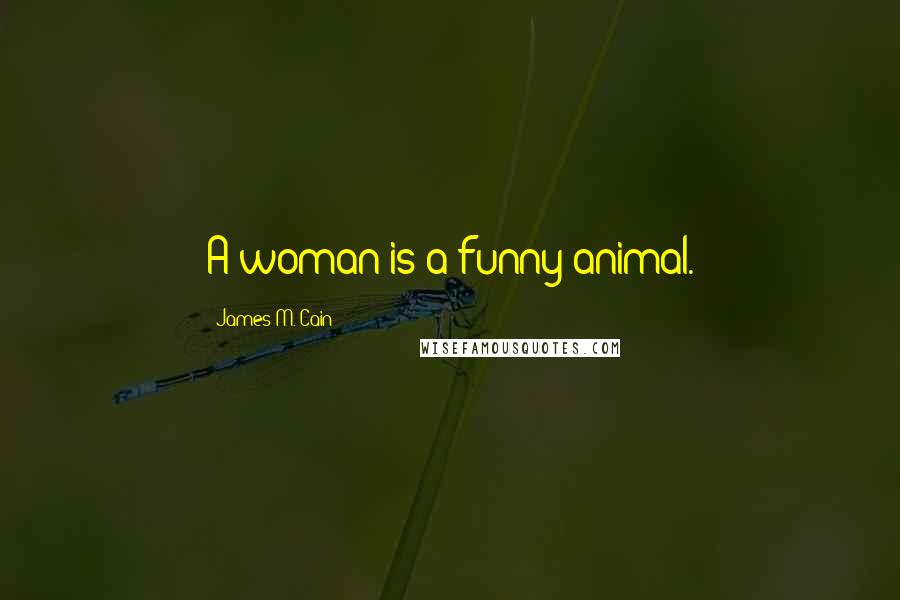 James M. Cain Quotes: A woman is a funny animal.