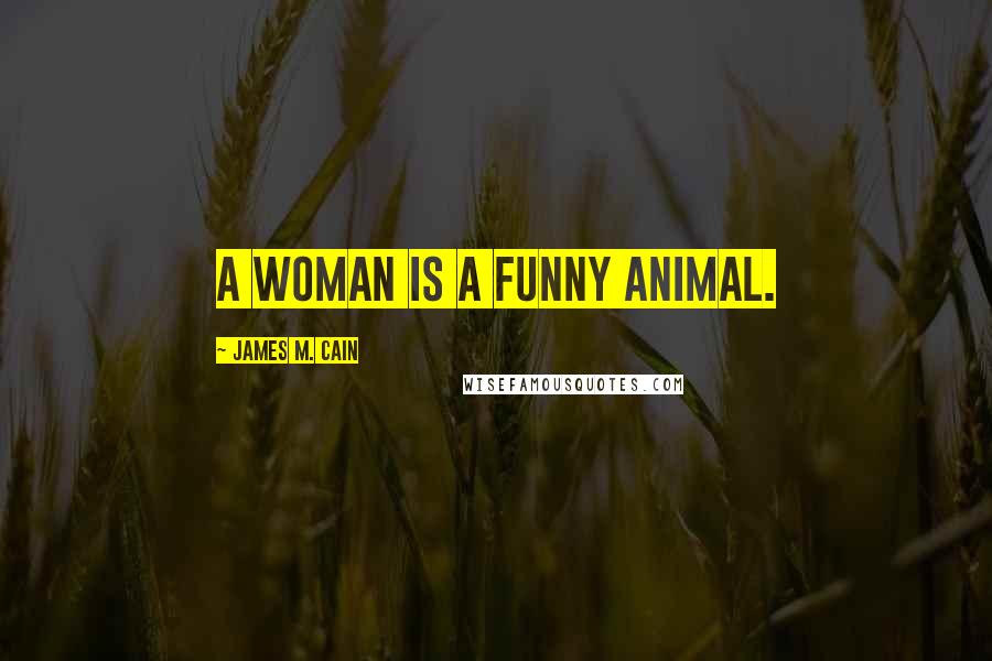 James M. Cain Quotes: A woman is a funny animal.