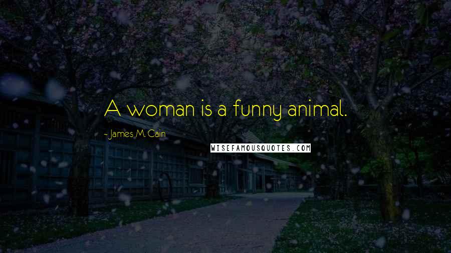 James M. Cain Quotes: A woman is a funny animal.