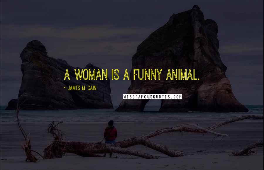 James M. Cain Quotes: A woman is a funny animal.