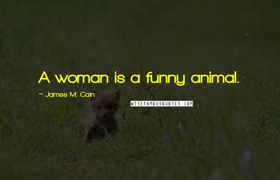 James M. Cain Quotes: A woman is a funny animal.