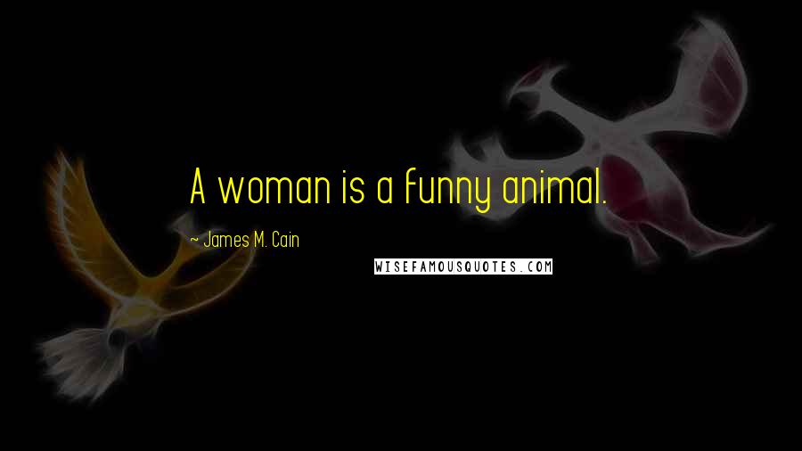 James M. Cain Quotes: A woman is a funny animal.