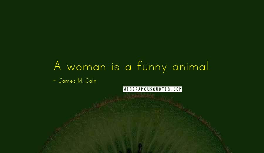 James M. Cain Quotes: A woman is a funny animal.