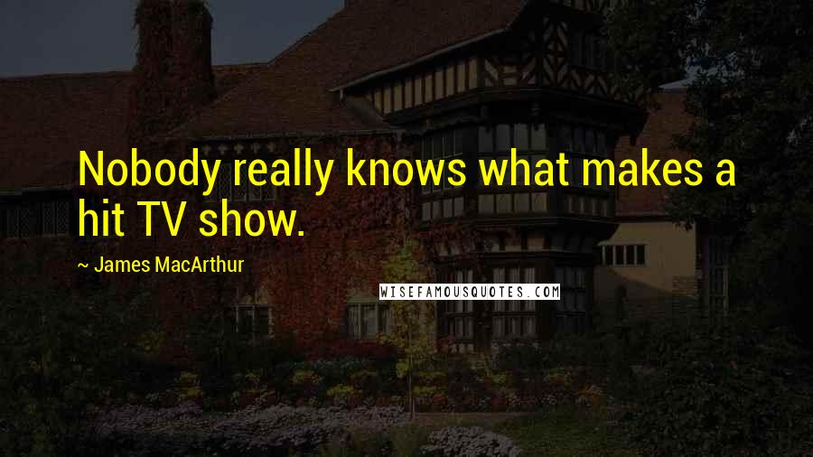 James MacArthur Quotes: Nobody really knows what makes a hit TV show.