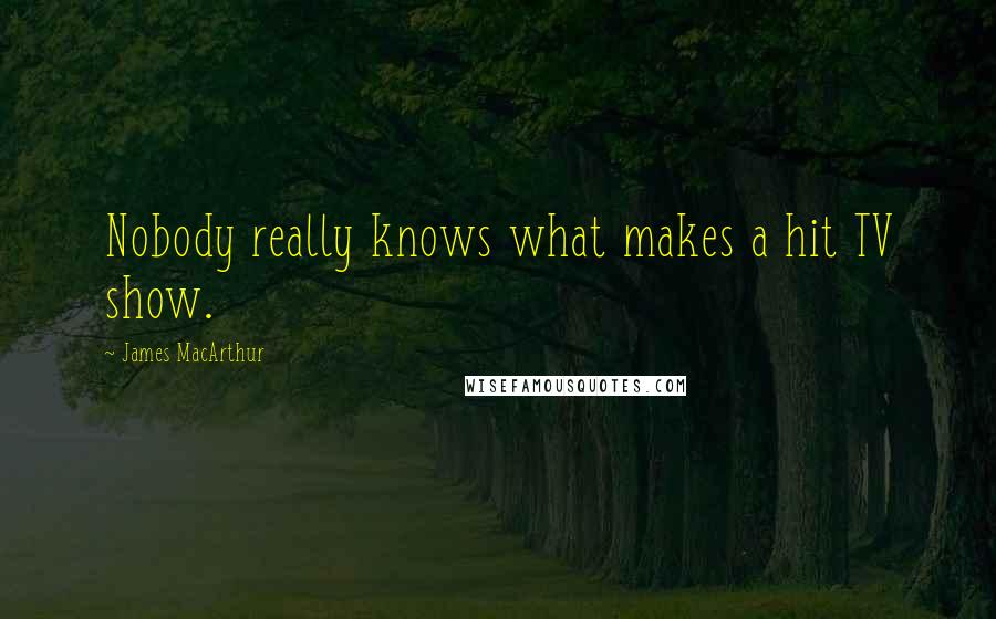 James MacArthur Quotes: Nobody really knows what makes a hit TV show.