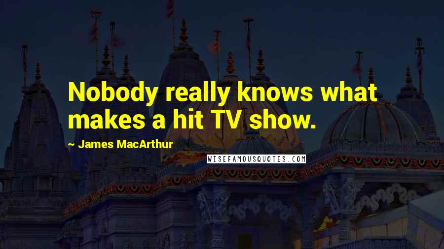 James MacArthur Quotes: Nobody really knows what makes a hit TV show.