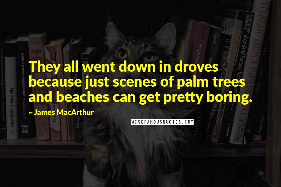 James MacArthur Quotes: They all went down in droves because just scenes of palm trees and beaches can get pretty boring.