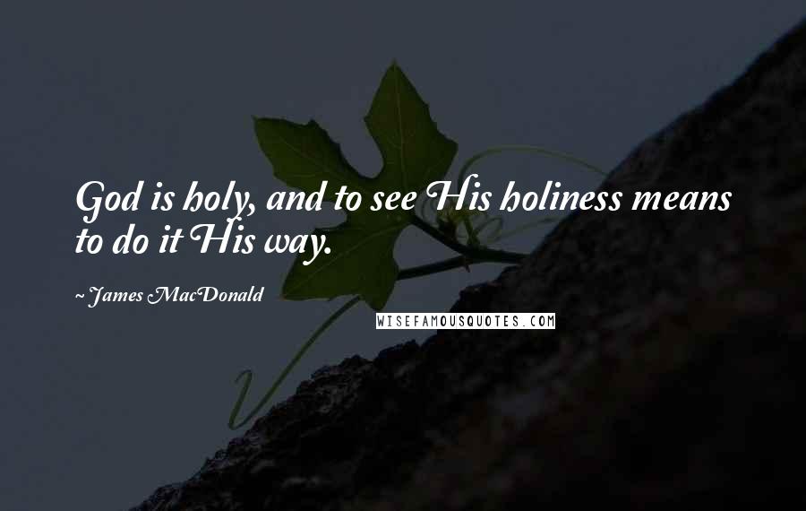 James MacDonald Quotes: God is holy, and to see His holiness means to do it His way.