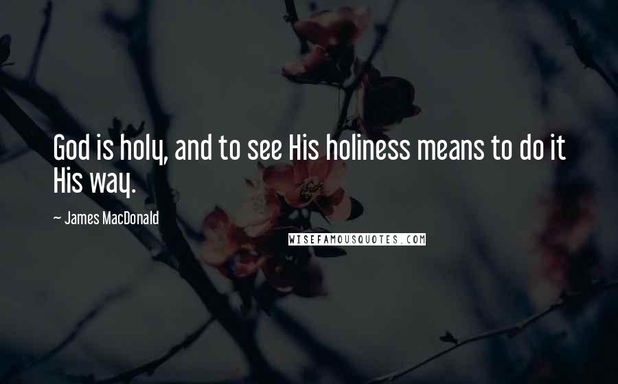 James MacDonald Quotes: God is holy, and to see His holiness means to do it His way.