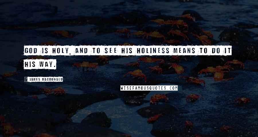 James MacDonald Quotes: God is holy, and to see His holiness means to do it His way.