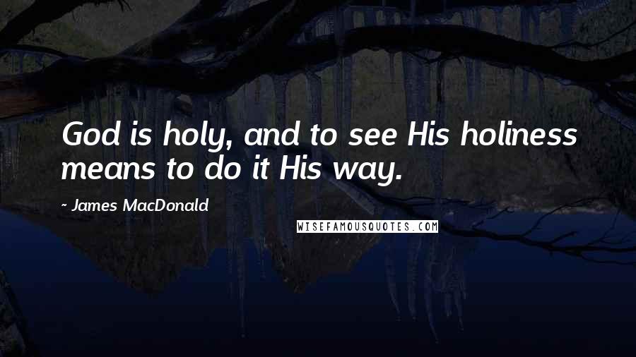 James MacDonald Quotes: God is holy, and to see His holiness means to do it His way.