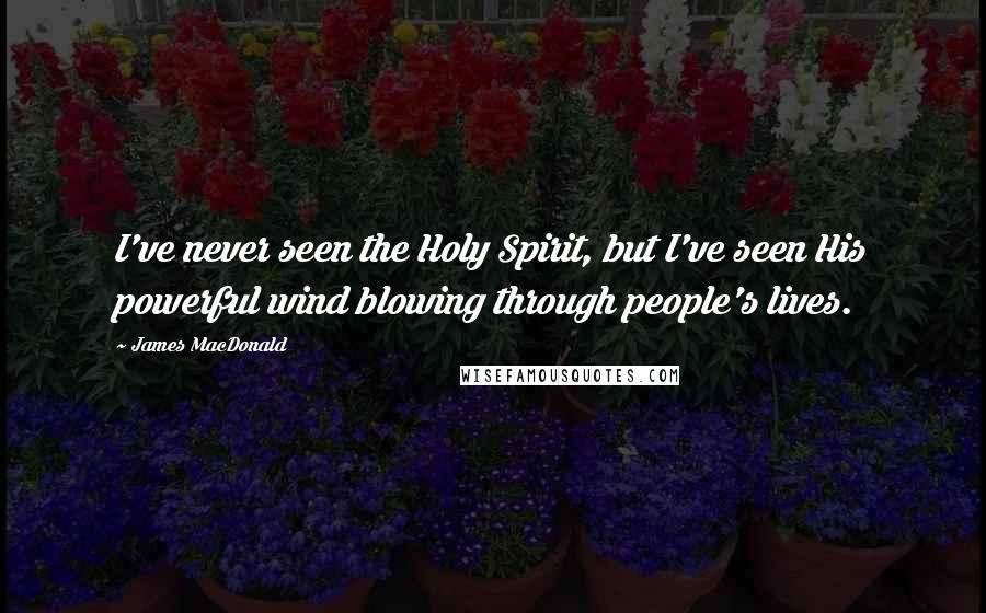 James MacDonald Quotes: I've never seen the Holy Spirit, but I've seen His powerful wind blowing through people's lives.