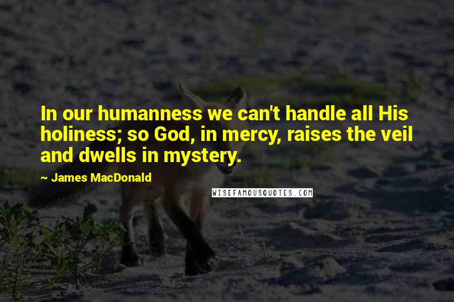 James MacDonald Quotes: In our humanness we can't handle all His holiness; so God, in mercy, raises the veil and dwells in mystery.