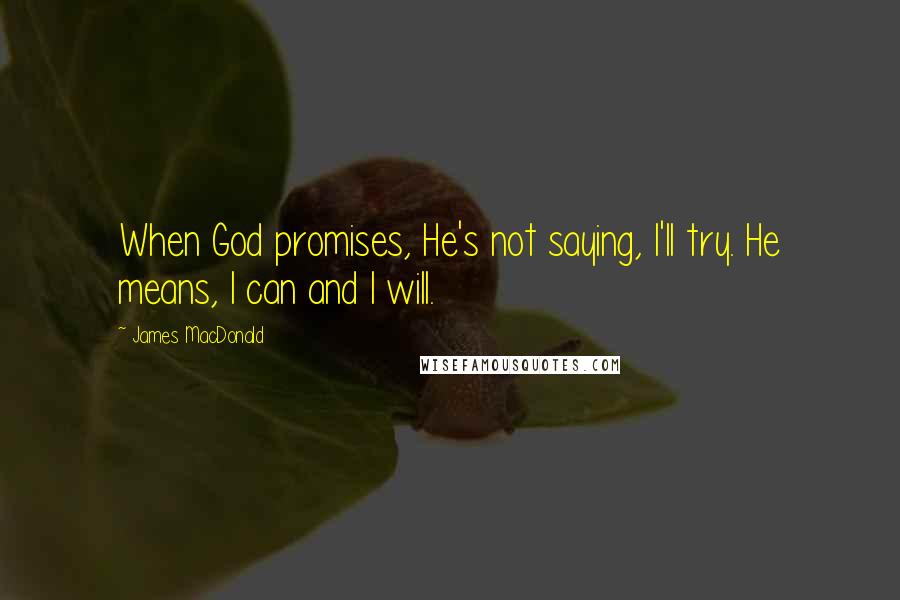 James MacDonald Quotes: When God promises, He's not saying, I'll try. He means, I can and I will.