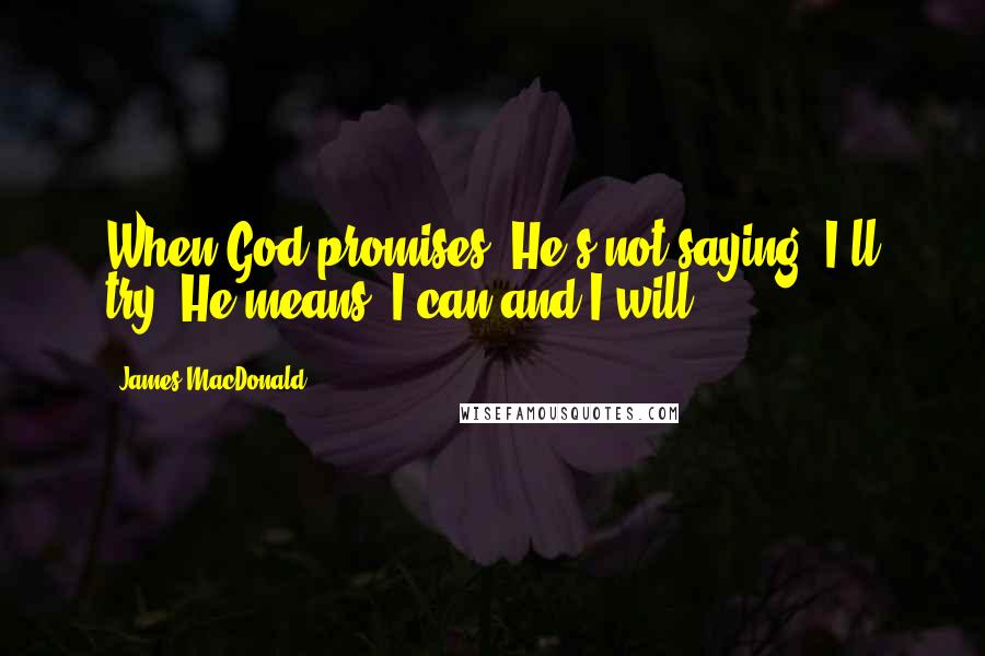 James MacDonald Quotes: When God promises, He's not saying, I'll try. He means, I can and I will.