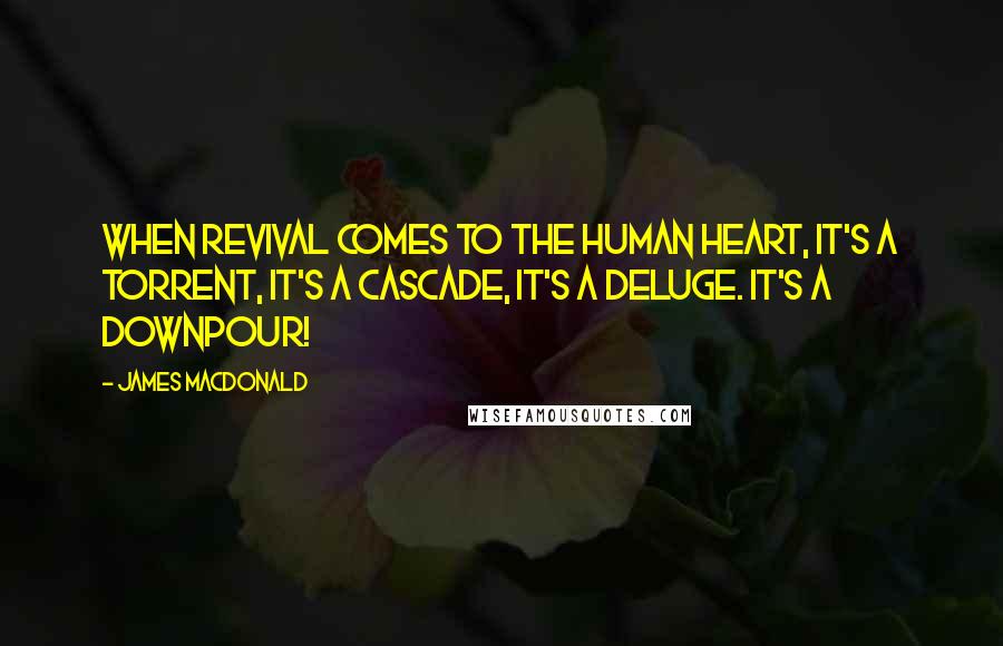James MacDonald Quotes: When revival comes to the human heart, it's a torrent, it's a cascade, it's a deluge. It's a downpour!