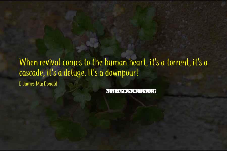 James MacDonald Quotes: When revival comes to the human heart, it's a torrent, it's a cascade, it's a deluge. It's a downpour!