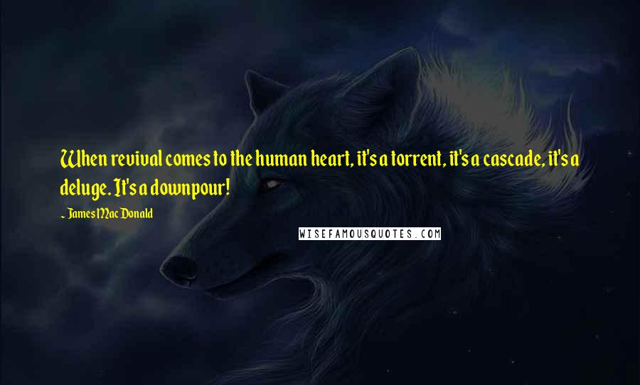 James MacDonald Quotes: When revival comes to the human heart, it's a torrent, it's a cascade, it's a deluge. It's a downpour!