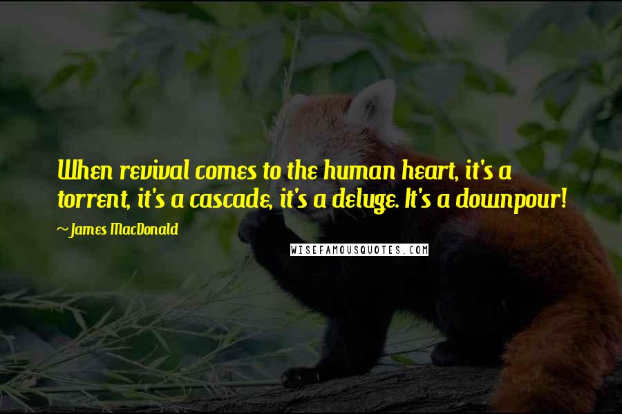 James MacDonald Quotes: When revival comes to the human heart, it's a torrent, it's a cascade, it's a deluge. It's a downpour!