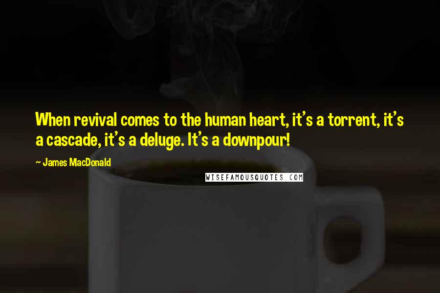James MacDonald Quotes: When revival comes to the human heart, it's a torrent, it's a cascade, it's a deluge. It's a downpour!