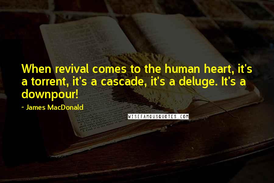 James MacDonald Quotes: When revival comes to the human heart, it's a torrent, it's a cascade, it's a deluge. It's a downpour!