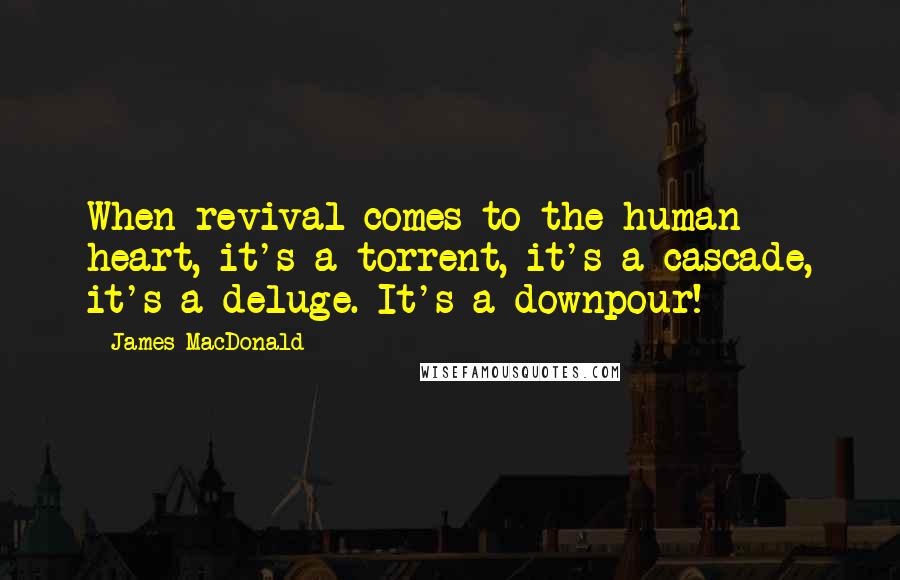 James MacDonald Quotes: When revival comes to the human heart, it's a torrent, it's a cascade, it's a deluge. It's a downpour!