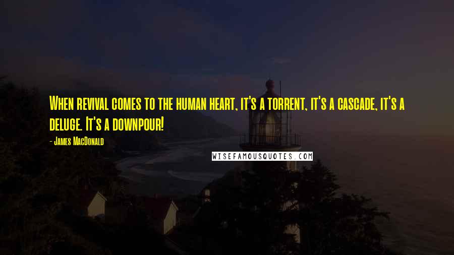 James MacDonald Quotes: When revival comes to the human heart, it's a torrent, it's a cascade, it's a deluge. It's a downpour!