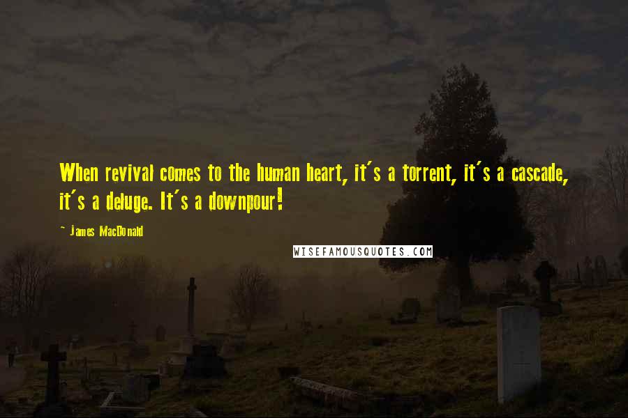 James MacDonald Quotes: When revival comes to the human heart, it's a torrent, it's a cascade, it's a deluge. It's a downpour!