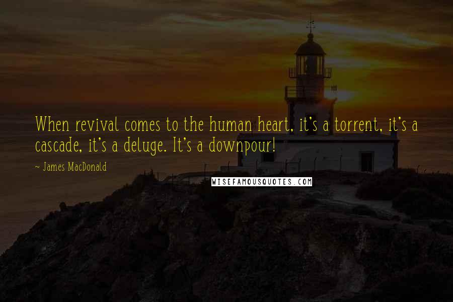 James MacDonald Quotes: When revival comes to the human heart, it's a torrent, it's a cascade, it's a deluge. It's a downpour!