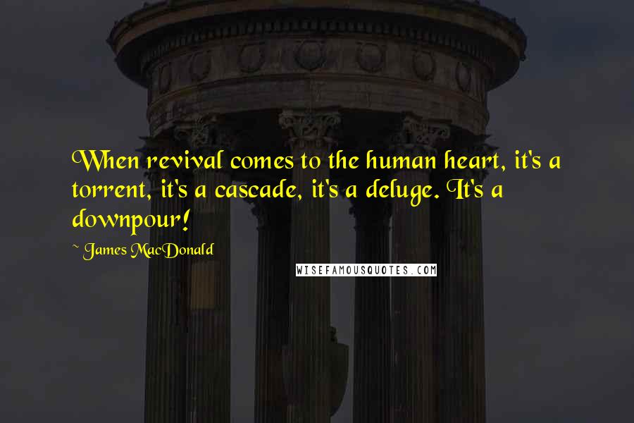 James MacDonald Quotes: When revival comes to the human heart, it's a torrent, it's a cascade, it's a deluge. It's a downpour!
