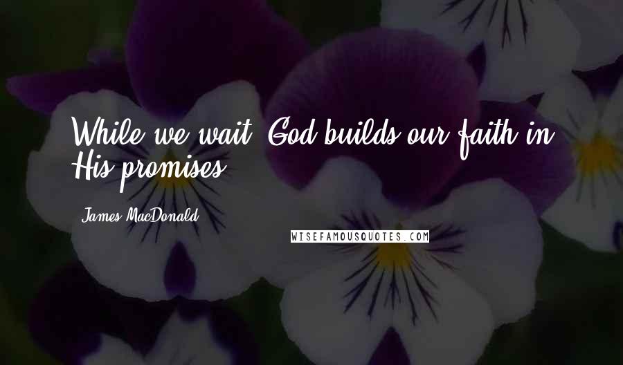 James MacDonald Quotes: While we wait, God builds our faith in His promises.