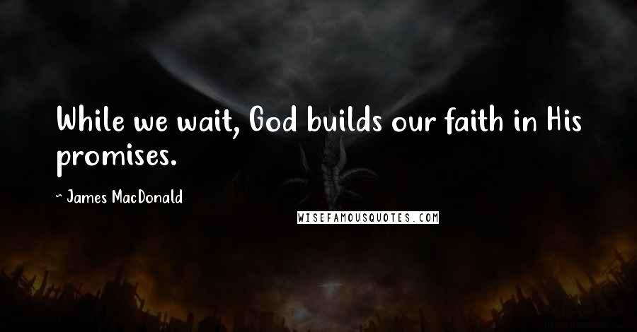 James MacDonald Quotes: While we wait, God builds our faith in His promises.