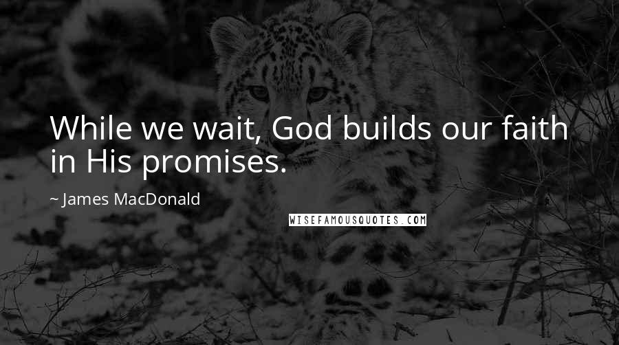 James MacDonald Quotes: While we wait, God builds our faith in His promises.