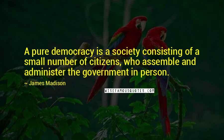 James Madison Quotes: A pure democracy is a society consisting of a small number of citizens, who assemble and administer the government in person.