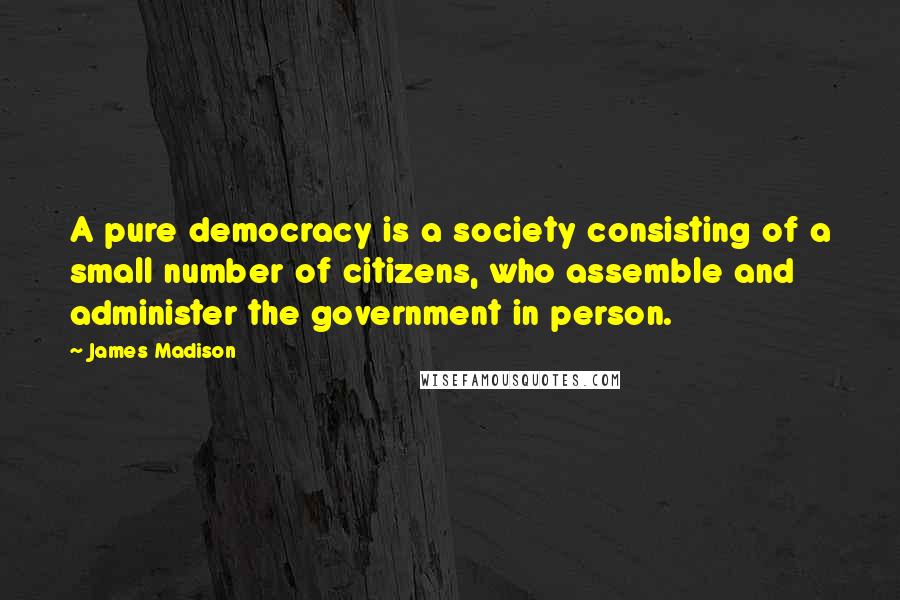 James Madison Quotes: A pure democracy is a society consisting of a small number of citizens, who assemble and administer the government in person.