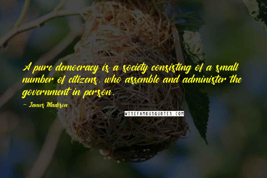 James Madison Quotes: A pure democracy is a society consisting of a small number of citizens, who assemble and administer the government in person.