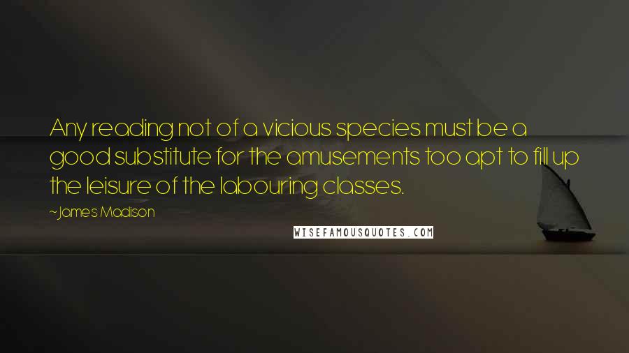 James Madison Quotes: Any reading not of a vicious species must be a good substitute for the amusements too apt to fill up the leisure of the labouring classes.