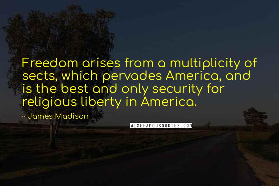 James Madison Quotes: Freedom arises from a multiplicity of sects, which pervades America, and is the best and only security for religious liberty in America.