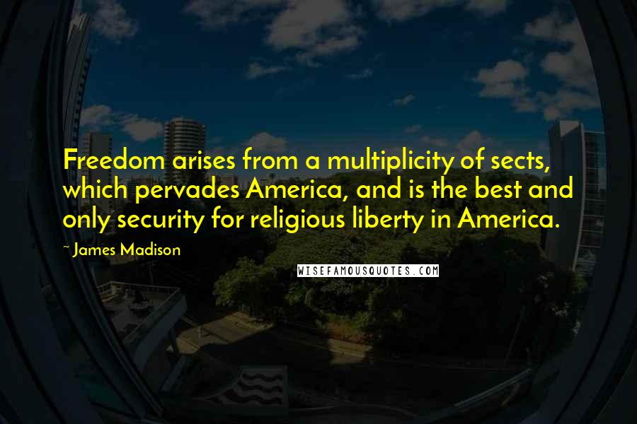 James Madison Quotes: Freedom arises from a multiplicity of sects, which pervades America, and is the best and only security for religious liberty in America.