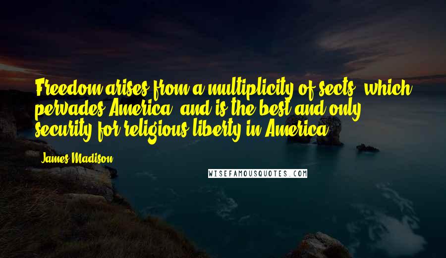 James Madison Quotes: Freedom arises from a multiplicity of sects, which pervades America, and is the best and only security for religious liberty in America.